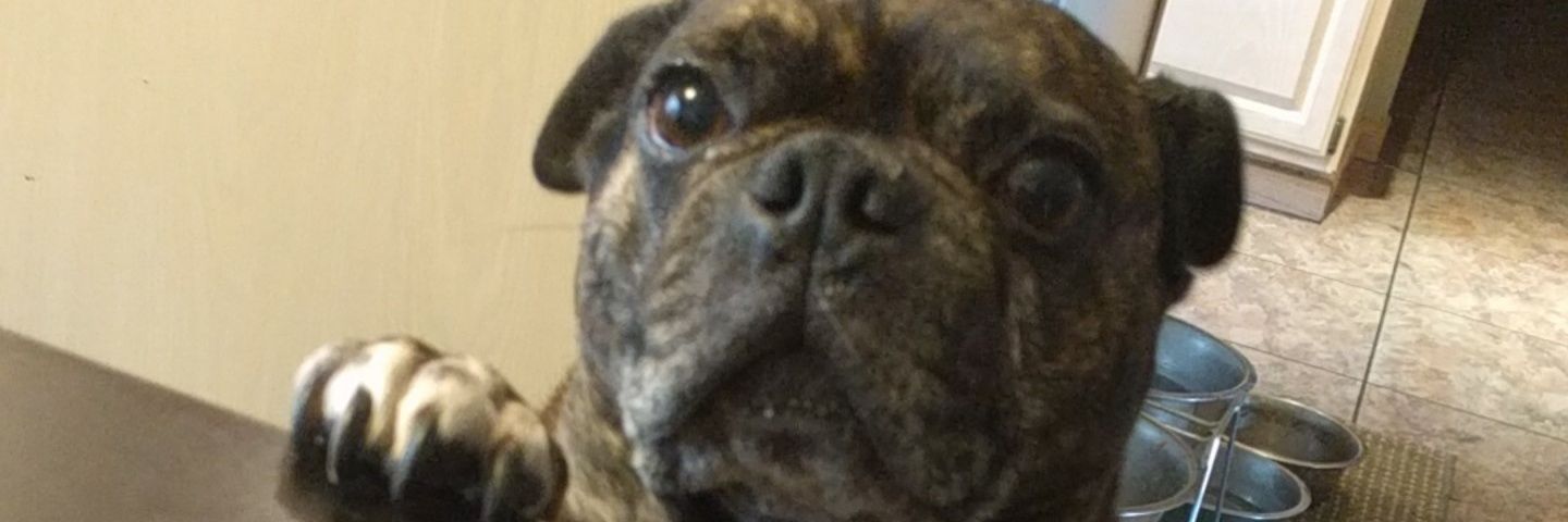 joe_spamp's profile banner image