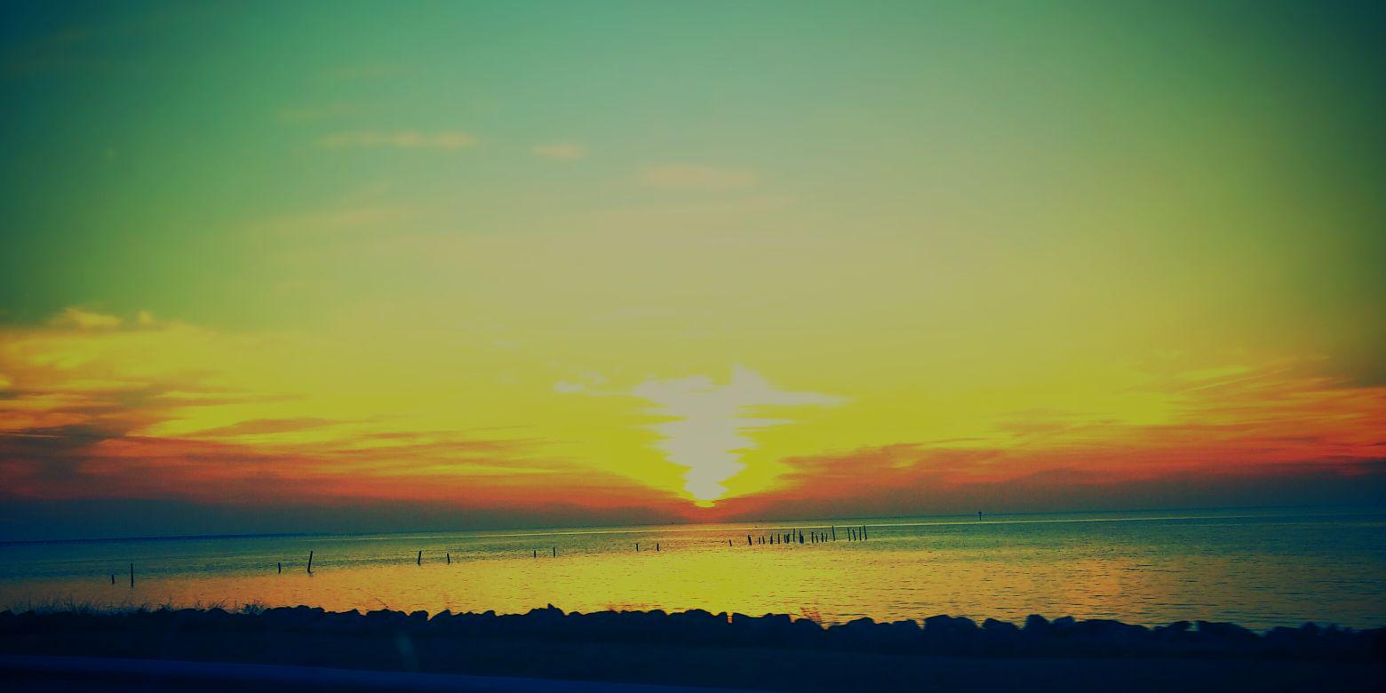 delliott3216's profile banner image