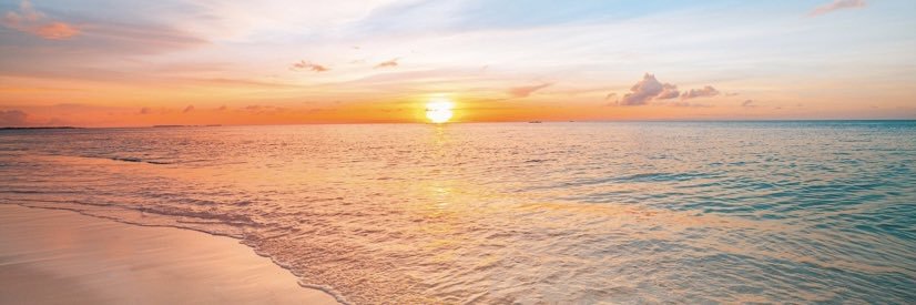 kizboyce's profile banner image