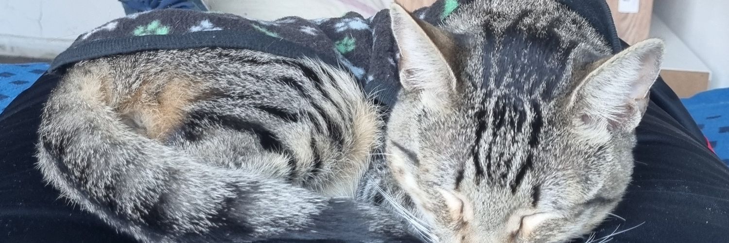 MaxiOlazabal99's profile banner image
