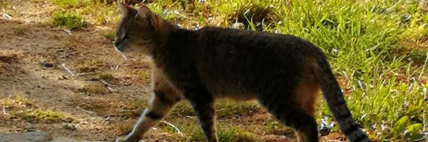 serhat yılmaz 🇹🇷 banner