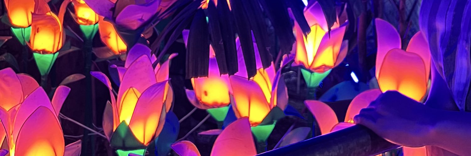 zaelaaan's profile banner image