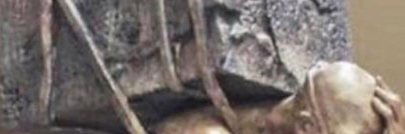 jenaali11's profile banner image