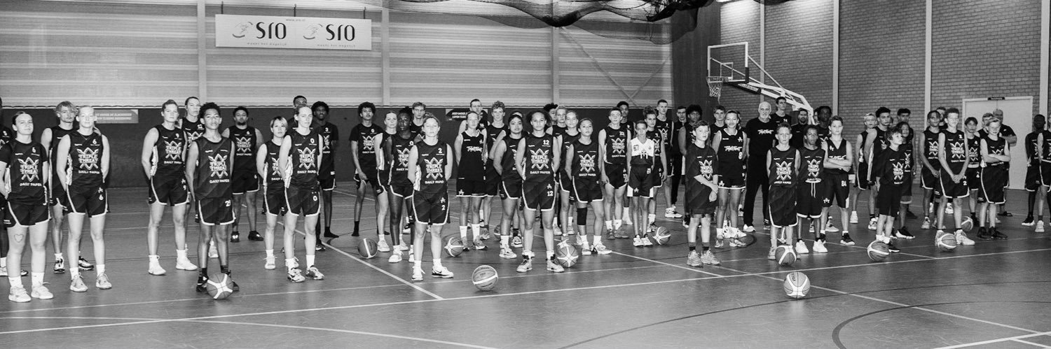 dominique schemmekes banner