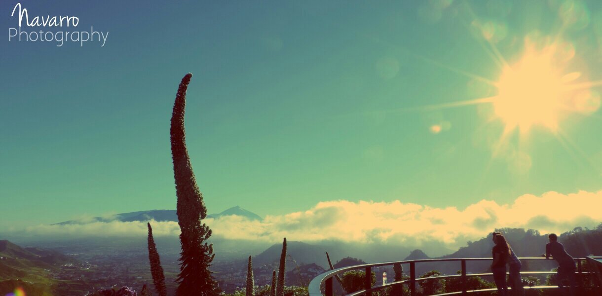 NavarroHitMusic's profile banner image