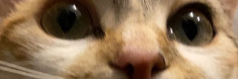 y🫧🍒 banner