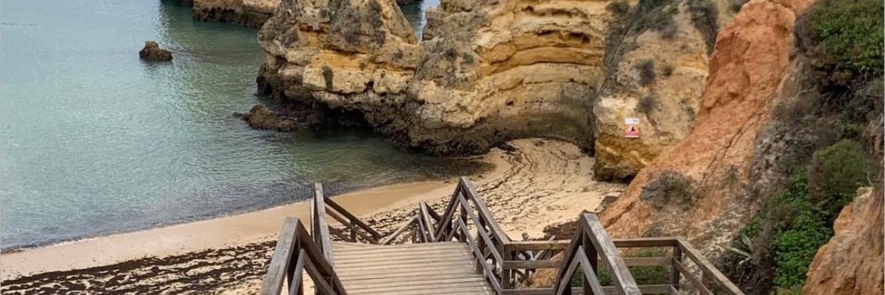 Billy Fitzgerald banner