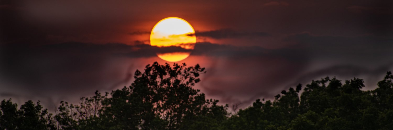PermarZ's profile banner image