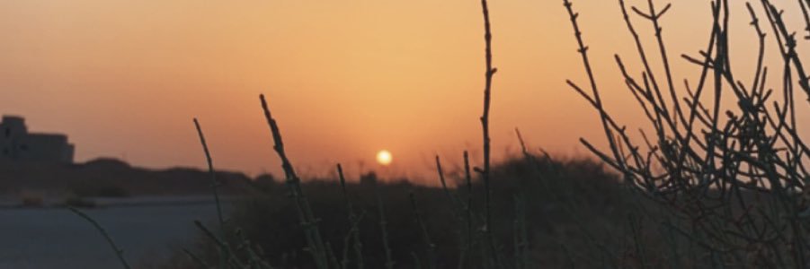 xsnnnx's profile banner image