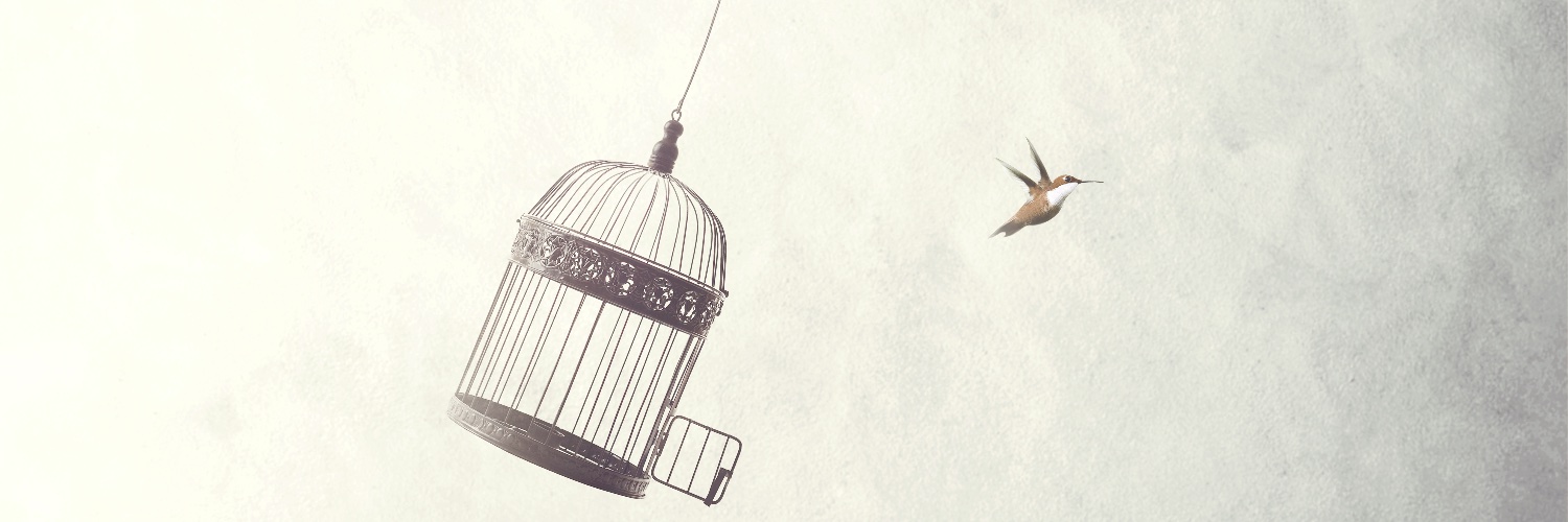 LauraKurk's profile banner image