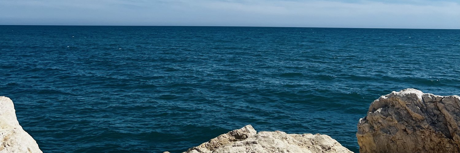 Rocio〽️ banner