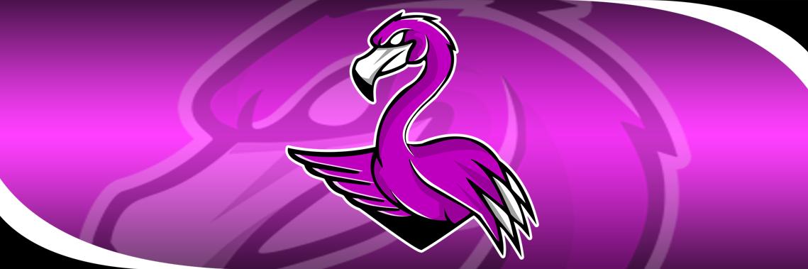 Failmingo_TTV's profile banner image