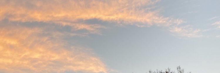 anaangoo's profile banner image