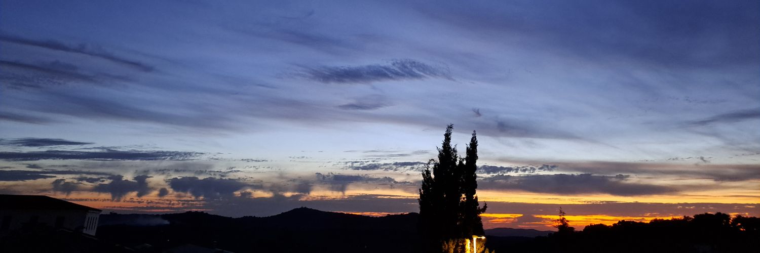 rociotth_'s profile banner image