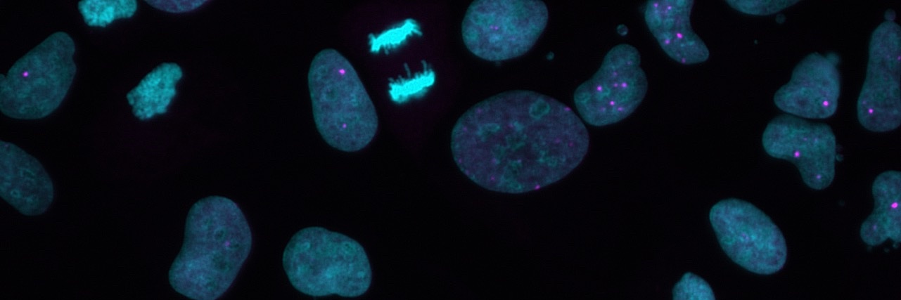 Lucía Simón Carrasco banner