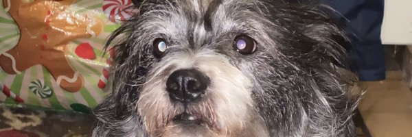 rdawgbiatch Profile Banner
