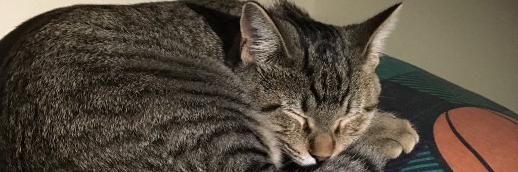TheBarangoat's profile banner image