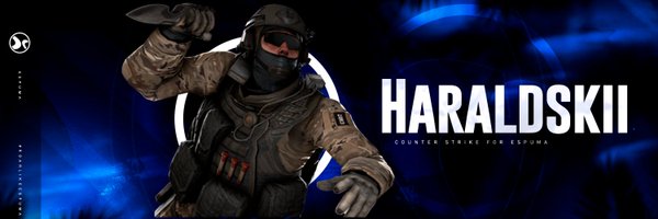Haraldskicsgo Profile Banner