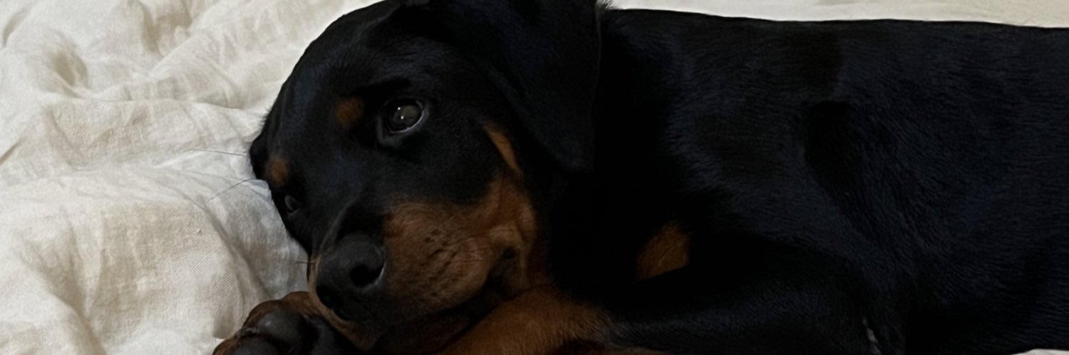 t. banner