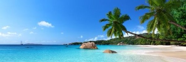 BarcoChus Profile Banner