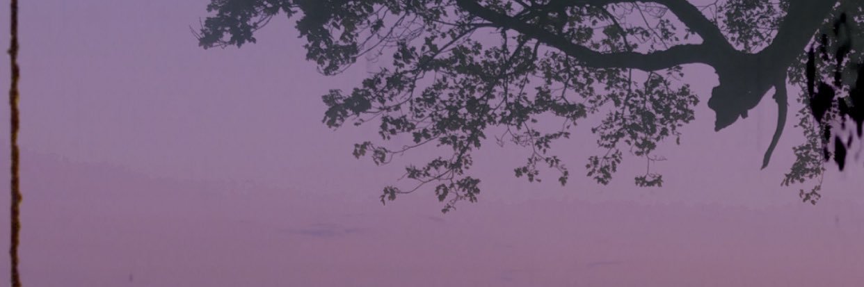sams_chicken's profile banner image