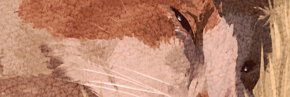 ★@stardustjarr.bsky.social★ (Comms Full)'s banner
