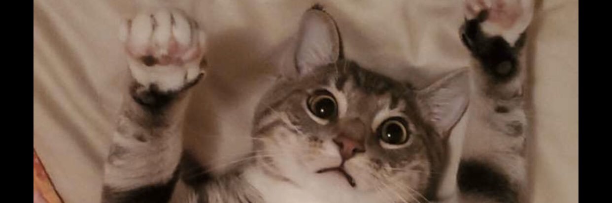 AmandaSelbyy's profile banner image