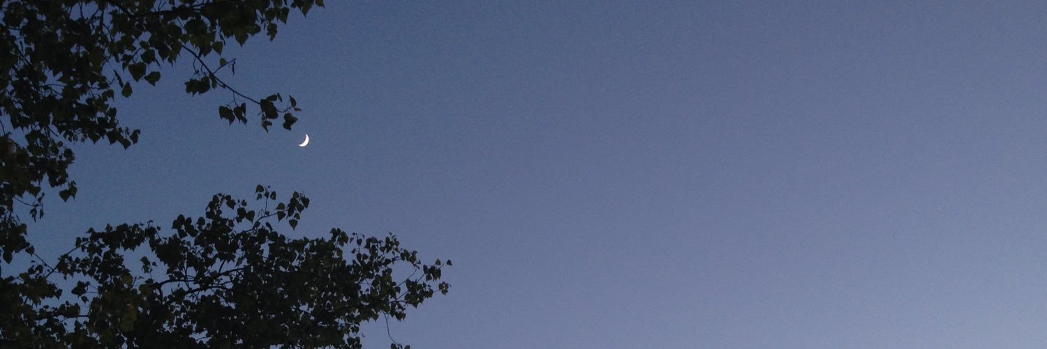 barbeetheonly1's profile banner image