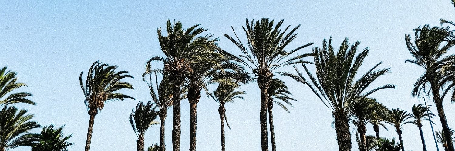 danielagouglas's profile banner image