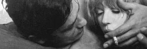 Molly 🧛‍♀️ banner