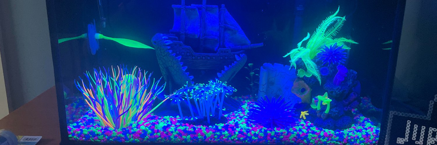 Fish_Crafty's profile banner image