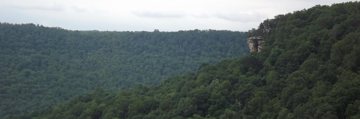 jt_neely_'s profile banner image