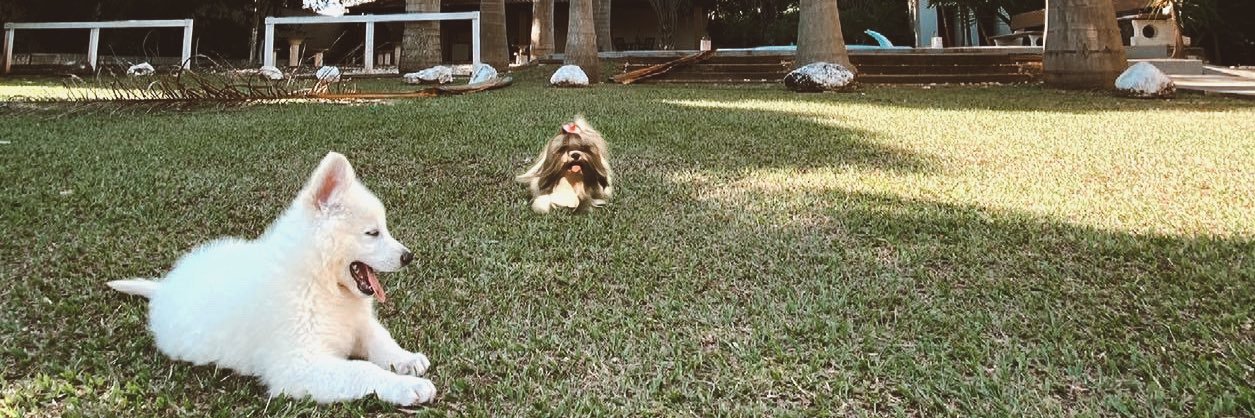 rbrth_'s profile banner image