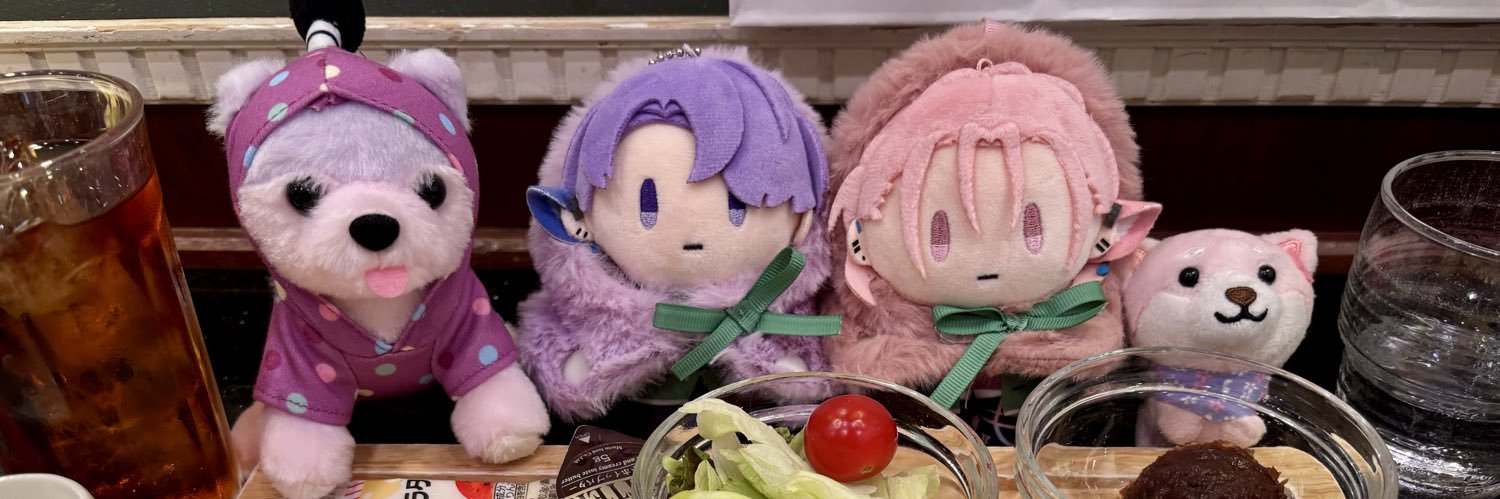 gf4sn's profile banner image