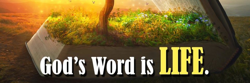 Miguel M. Jackson banner