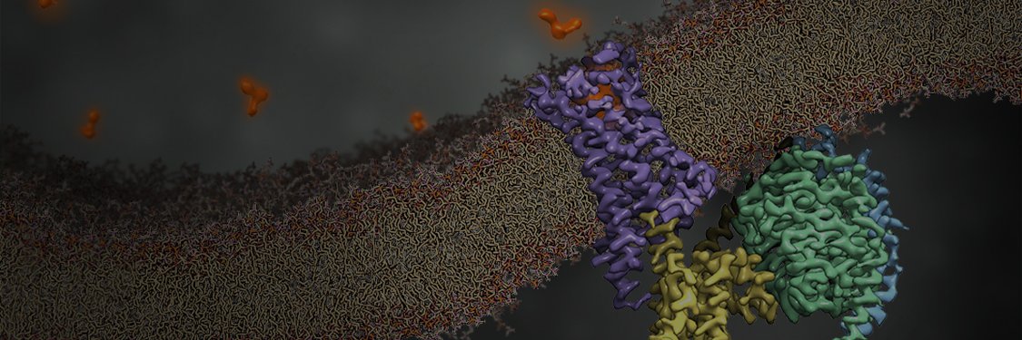 Makaía Papasergi-Scott banner