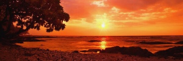 DJanny42 Profile Banner