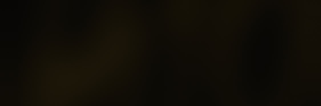 Seinzz1's profile banner image