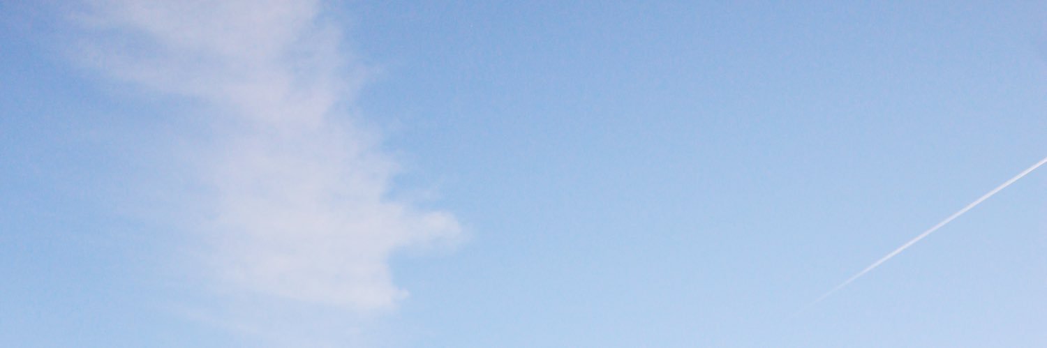 serena_bree's profile banner image