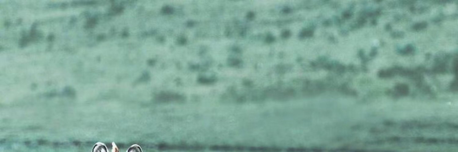 lilgoosep's profile banner image