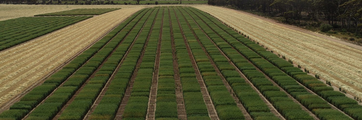 Alexandra Taylor banner