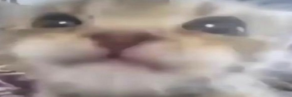 FriendlyTampon's profile banner image