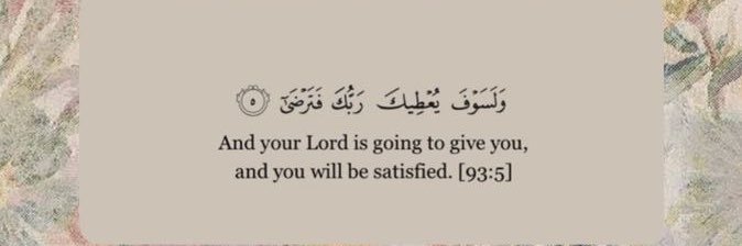 N. 🇵🇰🇵🇸 banner