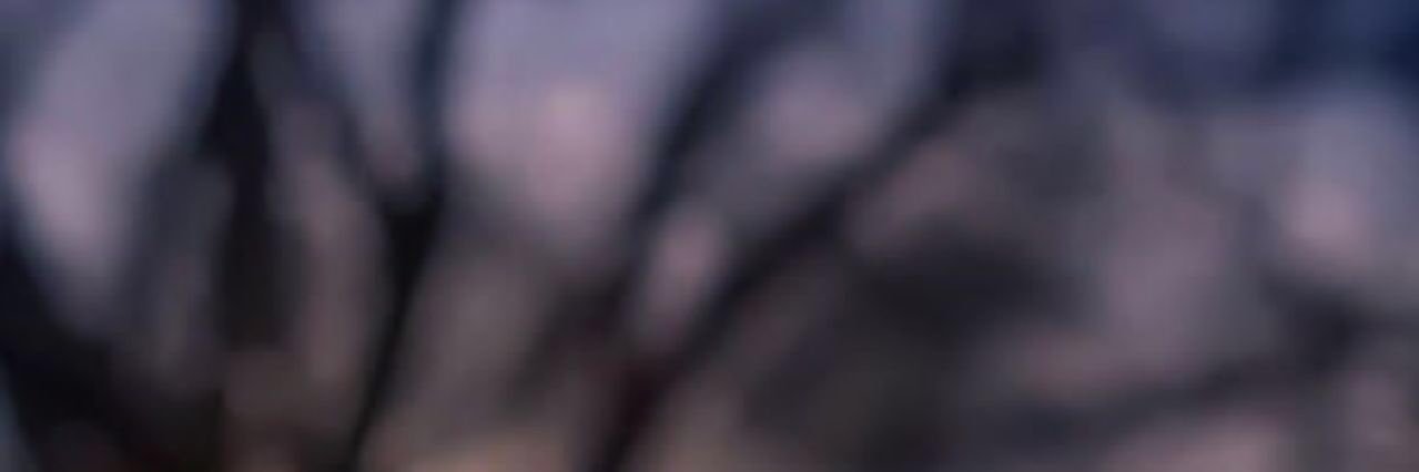 shoodh1234's profile banner image