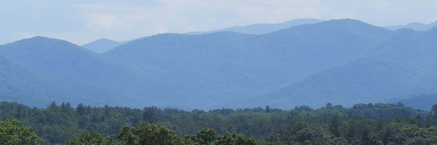 SarahisShock's profile banner image
