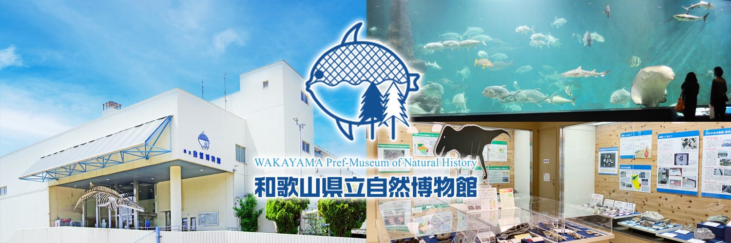 和歌山県立自然博物館 banner