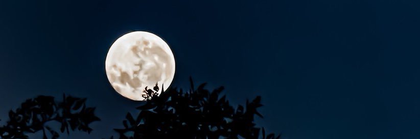 JA__AS0's profile banner image
