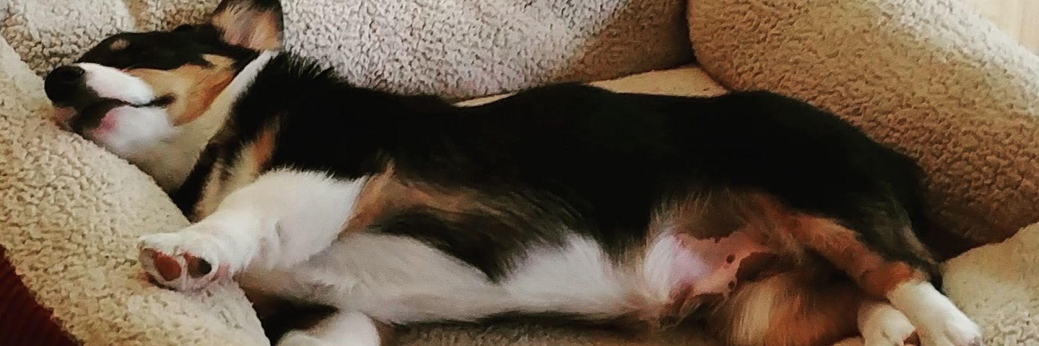 _jcurl's profile banner image