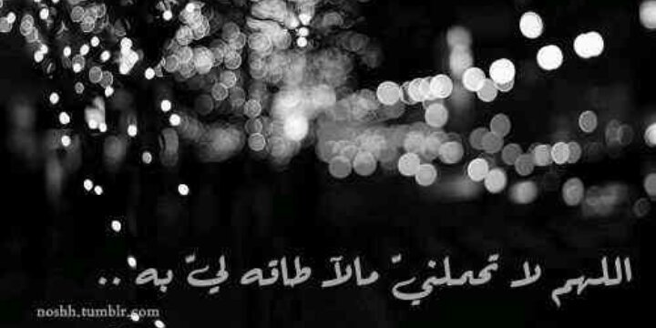 soulaf_M's profile banner image