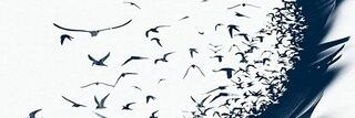 as0562's profile banner image